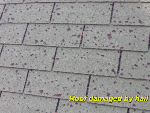hail-damaged-roof-forney-texas-roofing-contractor